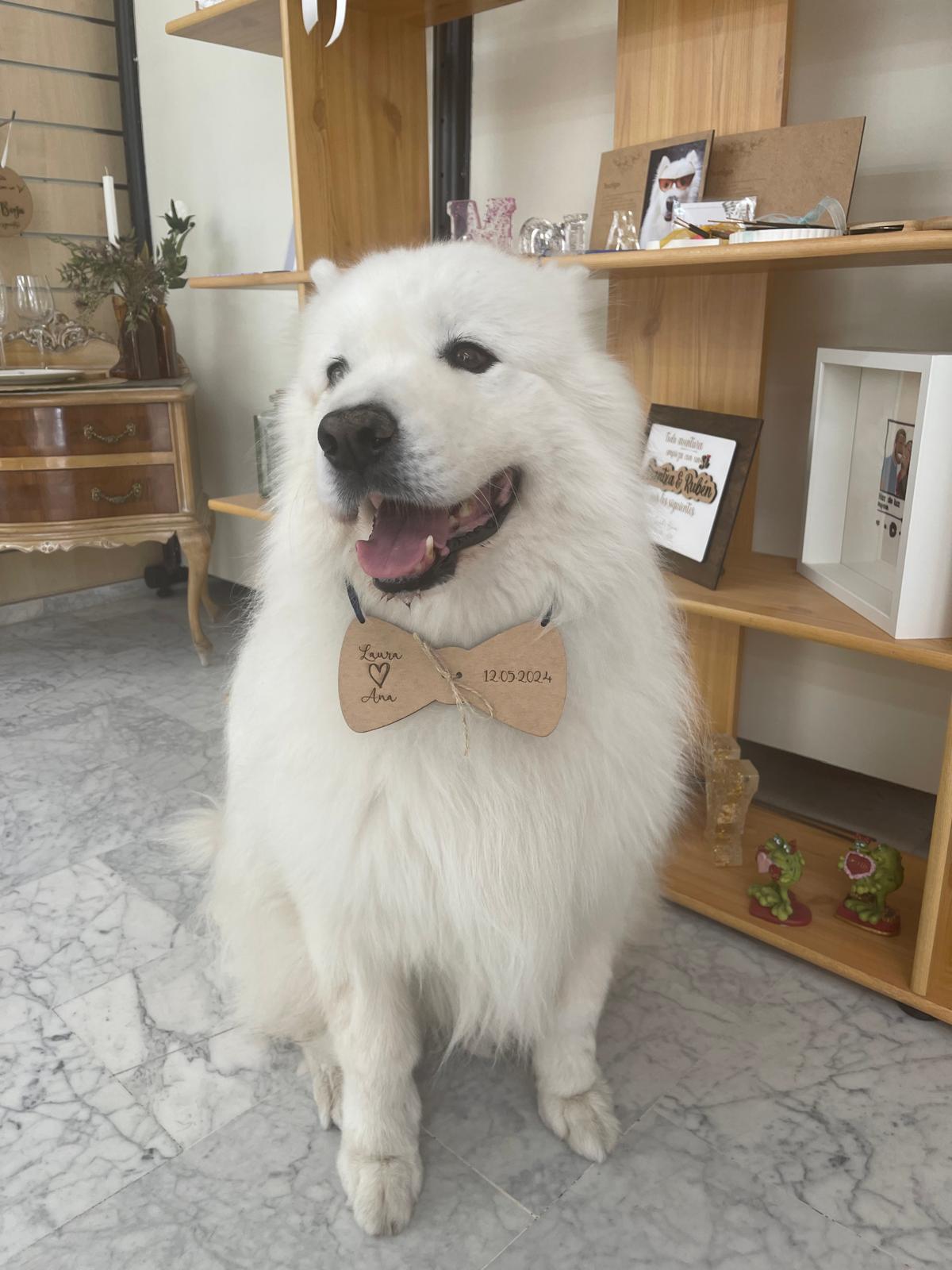 Lee más sobre el artículo CottonArt estará presente en la próxima edición de Fiesta y Boda